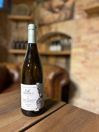 Petit Chablis “Sycomore” 2023 – L&C Poitout