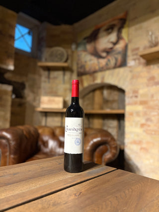 Chafandín 2021 Ribera del Duero rødvin fra Viñas del Jaro hos Maestro Vin